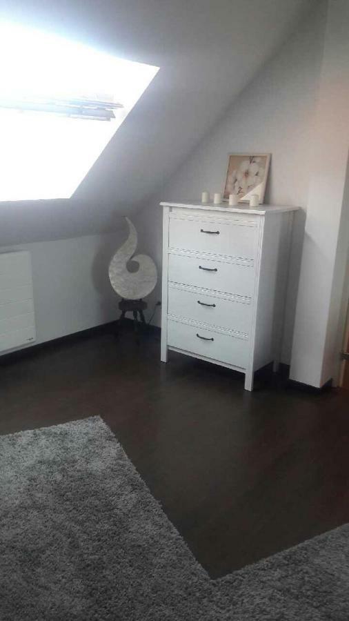 Appartement Avec Garage Colmar Centre Historique Εξωτερικό φωτογραφία