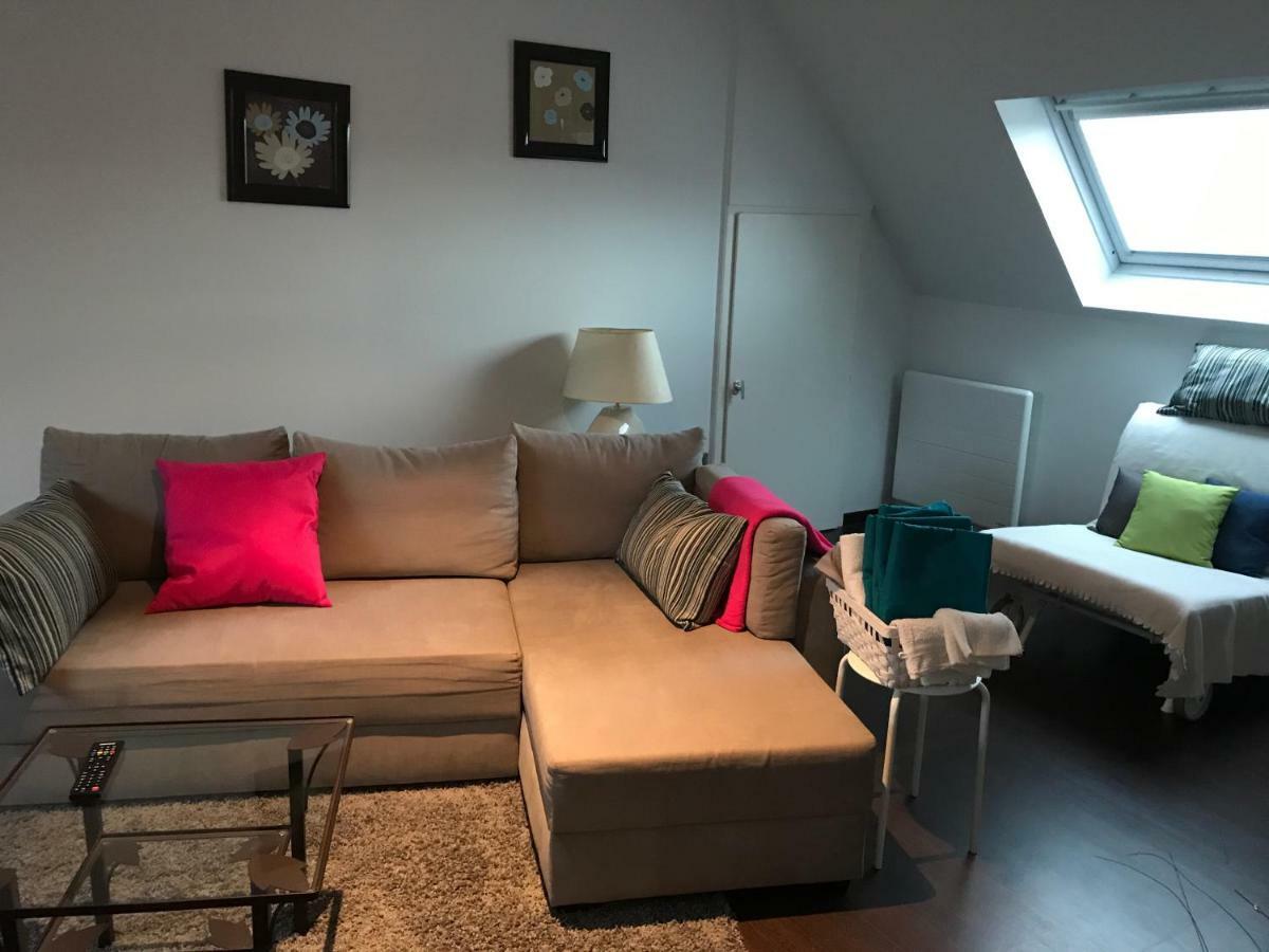 Appartement Avec Garage Colmar Centre Historique Εξωτερικό φωτογραφία