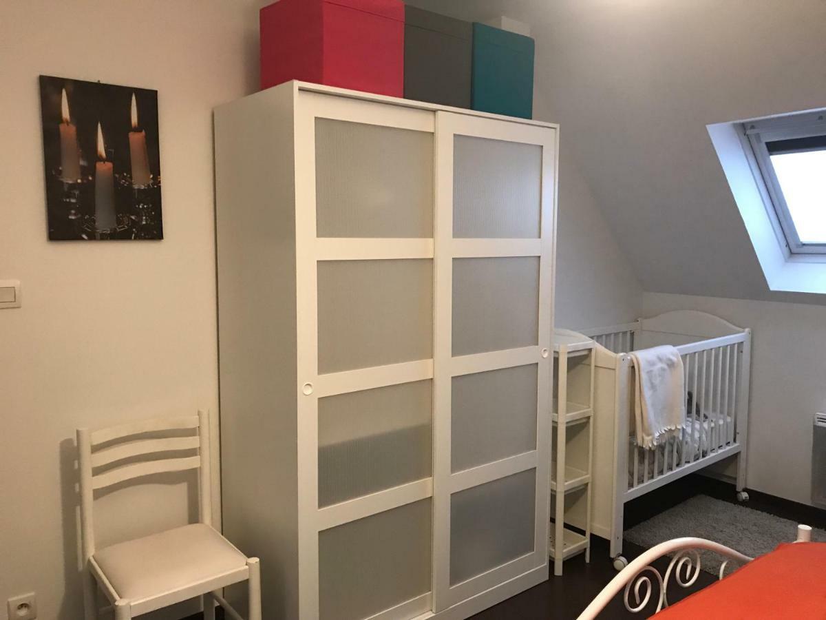 Appartement Avec Garage Colmar Centre Historique Εξωτερικό φωτογραφία