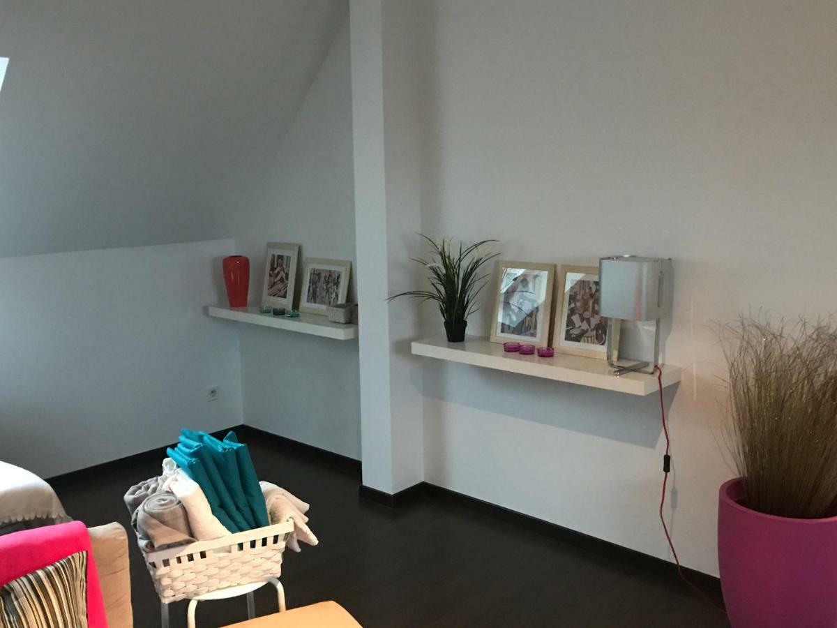 Appartement Avec Garage Colmar Centre Historique Εξωτερικό φωτογραφία
